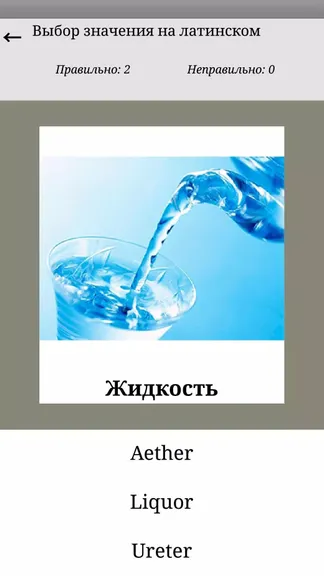 Скриншот 1/5