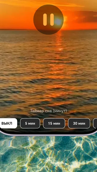 Скриншот 6/6