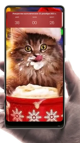 Скриншот 1/3