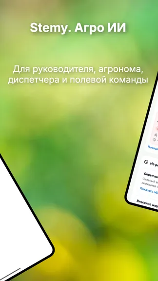 Скриншот 2/10