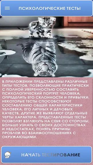 Скриншот 3/4