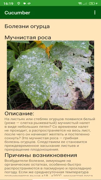 Скриншот 2/4