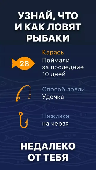 Скриншот 5/8