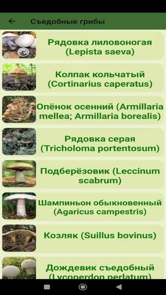 Скриншот 3/6