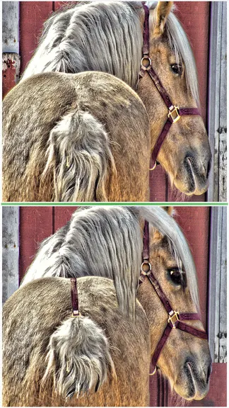 Скриншот 4/8