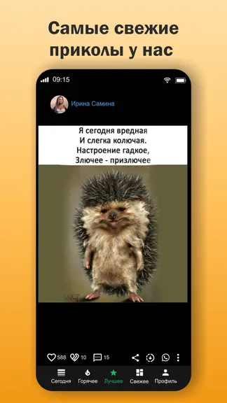 Скриншот 3/6