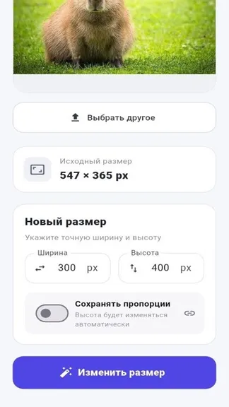 Скриншот 2/4