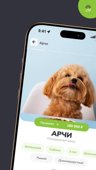 Скриншот 3/6