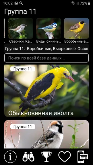 Скриншот 5/10