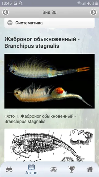 Скриншот 5/10