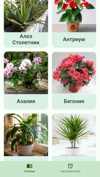 Скриншот 2/8