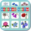 Карточки Логопеда Полевые Цветы (151) логотип