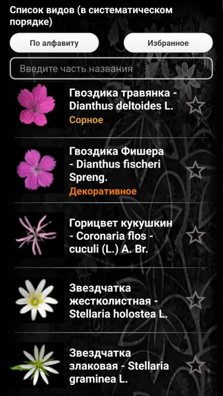 Скриншот 2/8