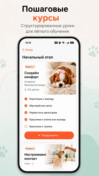 Скриншот 2/6