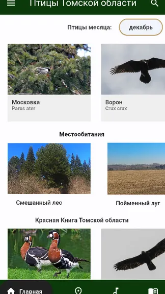 Скриншот 1/5