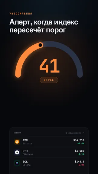 Скриншот 2/8