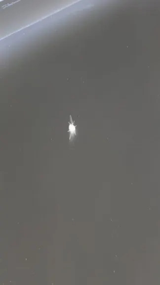 Скриншот 1/5