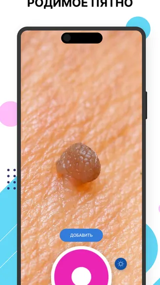 Скриншот 1/5