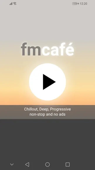 Скриншот 1/4