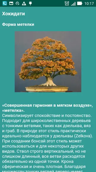 Скриншот 2/8