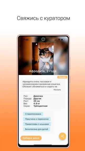 Скриншот 3/6