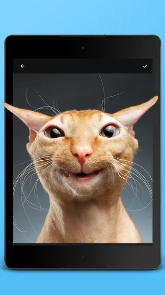 Скриншот 4/5