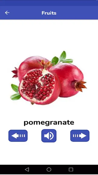 Скриншот 5/8