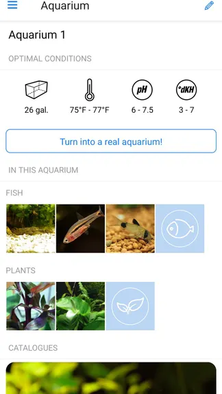 Скриншот 1/10