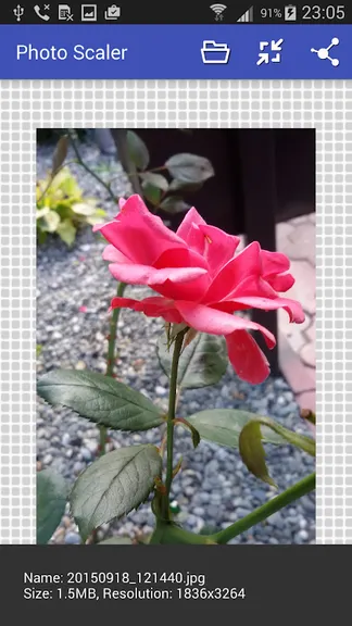 Скриншот 1/7