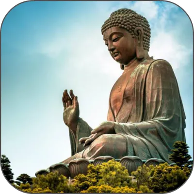 Buddha HD Live Wallpaper