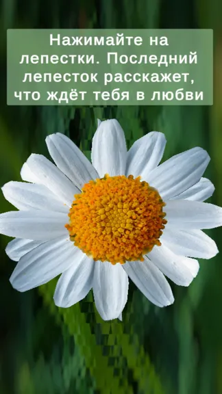 Скриншот 1/3