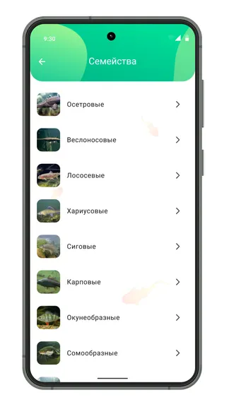 Скриншот 2/4