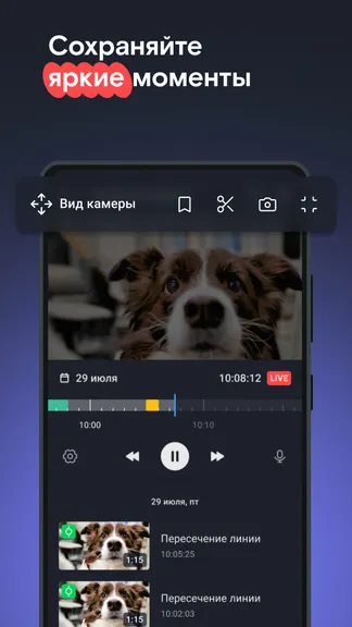 Скриншот 5/6