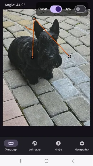 Скриншот 1/10