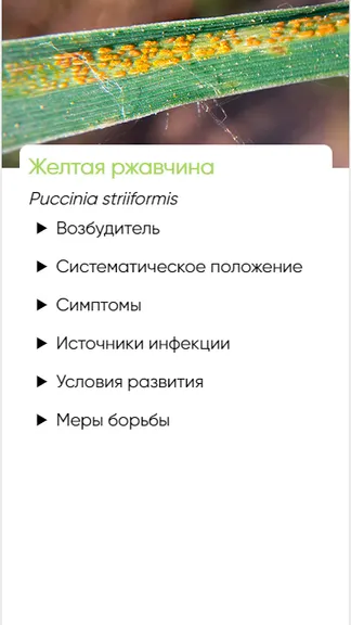 Скриншот 6/6