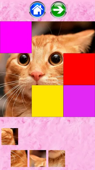 Скриншот 1/4