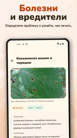 Скриншот 8/10