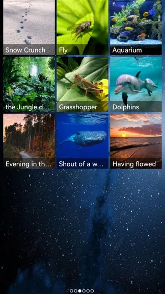 Скриншот 2/3