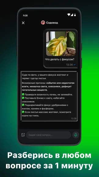 Скриншот 2/5