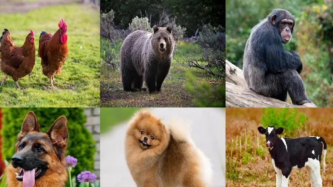 Скриншот 1/2