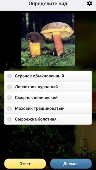 Скриншот 7/8