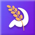 Цена Зерна: агро платформа логотип