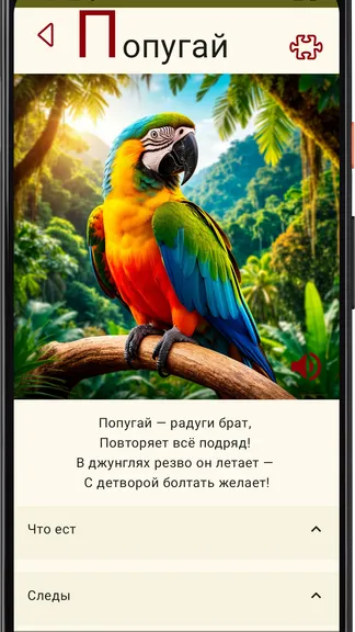 Скриншот 9/9