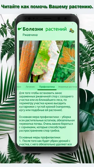 Скриншот 3/4