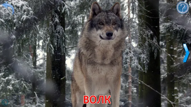 Скриншот 2/8