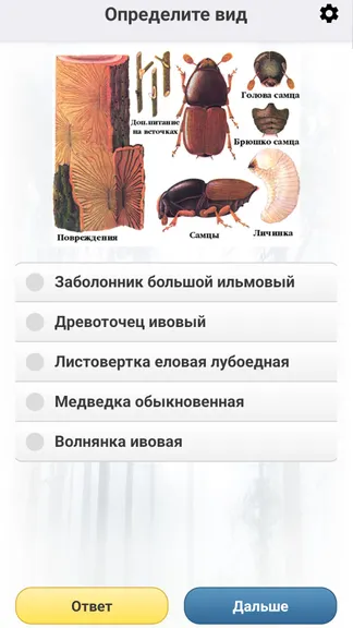Скриншот 6/8