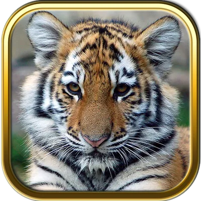 Free Baby Animal Puzzles