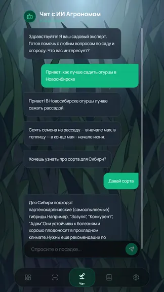 Скриншот 3/6