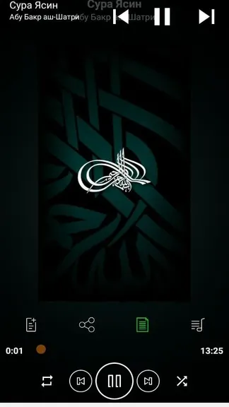 Скриншот 4/5