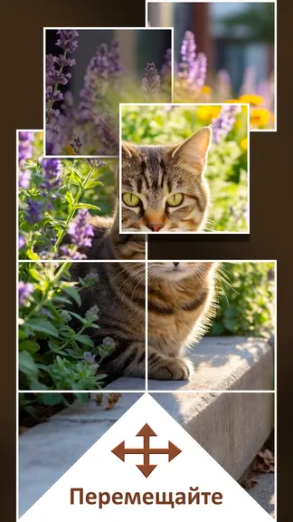 Скриншот 3/4